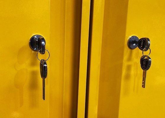 Mua Chemical Storage Cabinet with 109x46x123CM, 109x46x165CM, and 109x86x165CM Sizes for Hazardous Material Storage sản xuất trực tuyến